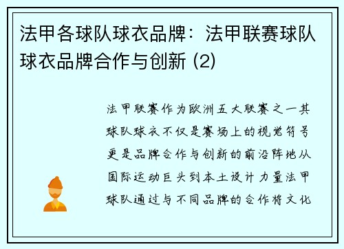 法甲各球队球衣品牌：法甲联赛球队球衣品牌合作与创新 (2)