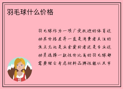 羽毛球什么价格