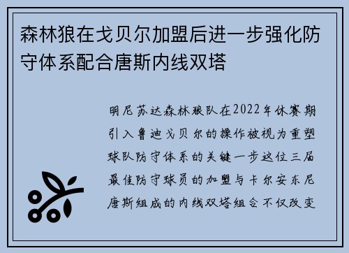 森林狼在戈贝尔加盟后进一步强化防守体系配合唐斯内线双塔